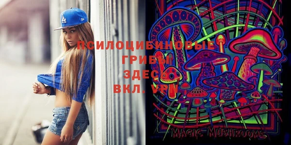 spice Абдулино