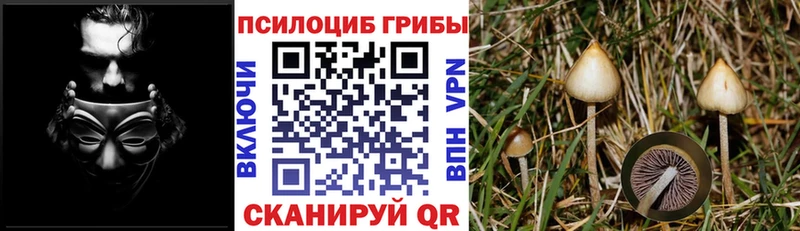 Галлюциногенные грибы GOLDEN TEACHER  Кострома 